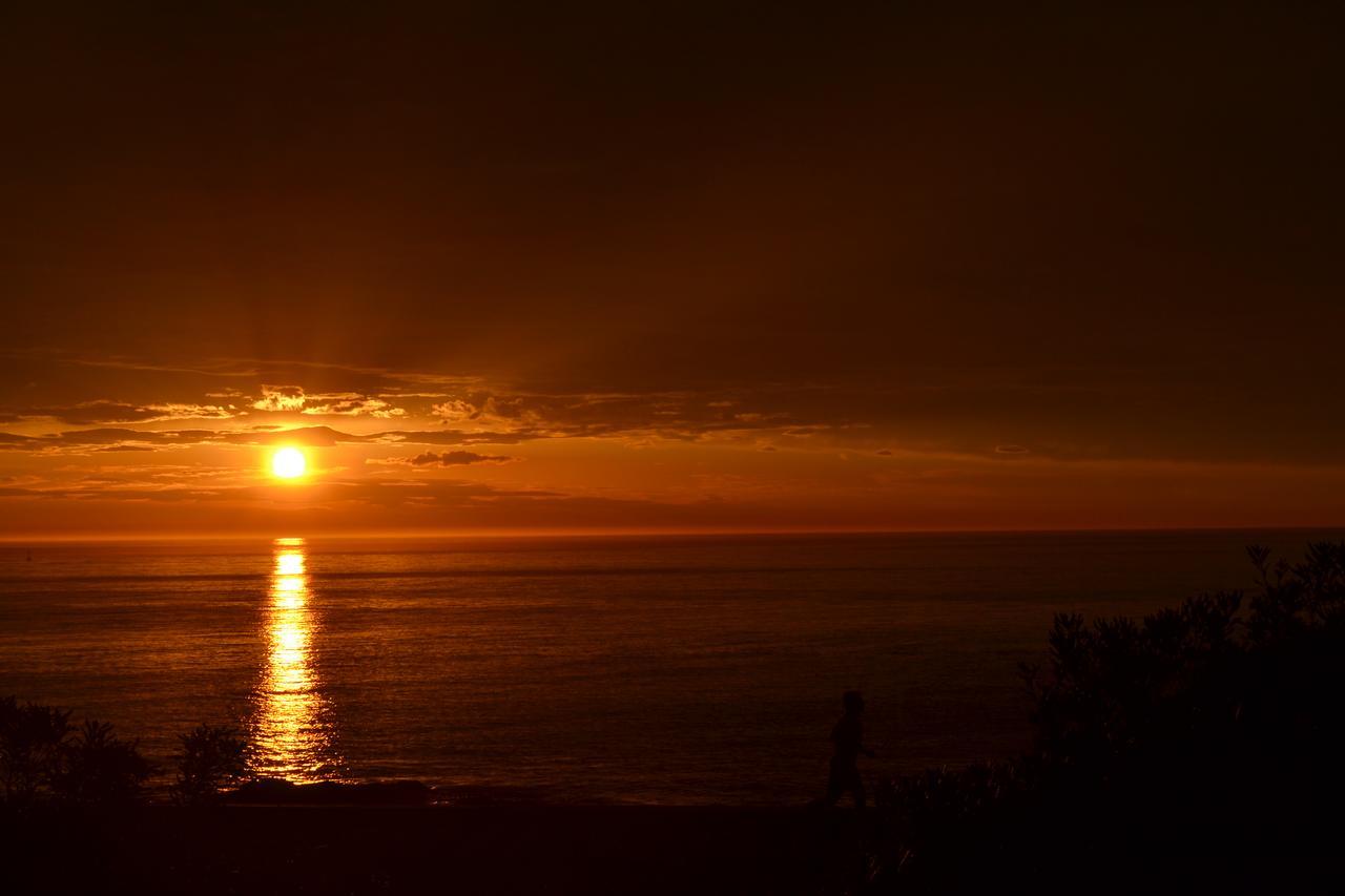 Los Sargos Punta del Este Exteriér fotografie